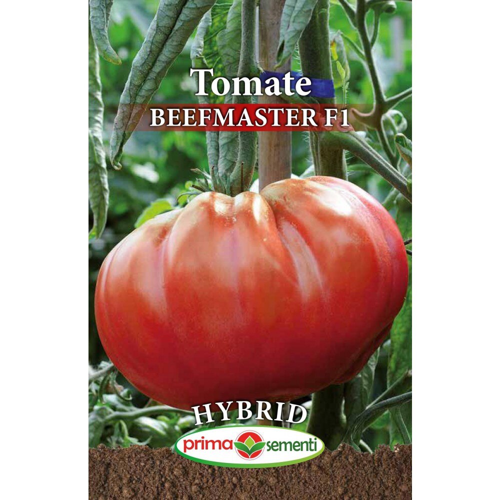 Cum crești tomate în grădină de la zero — ghid pentru începători